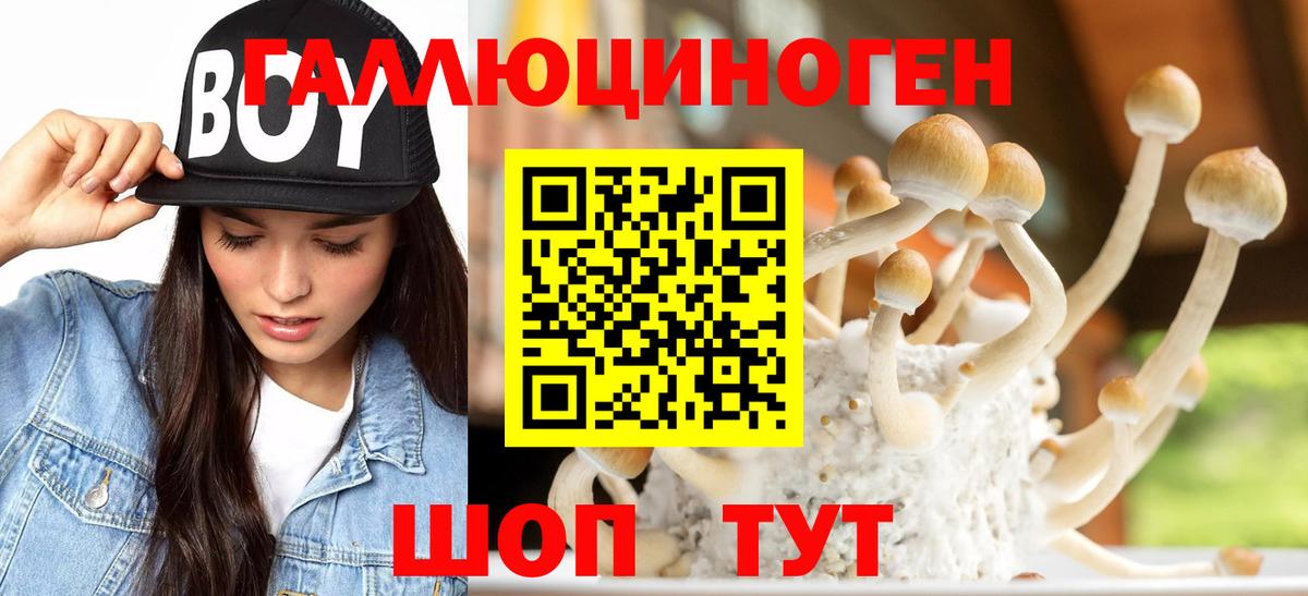 Псилоцибиновые грибы GOLDEN TEACHER  Вход с VPN  Курчалой 